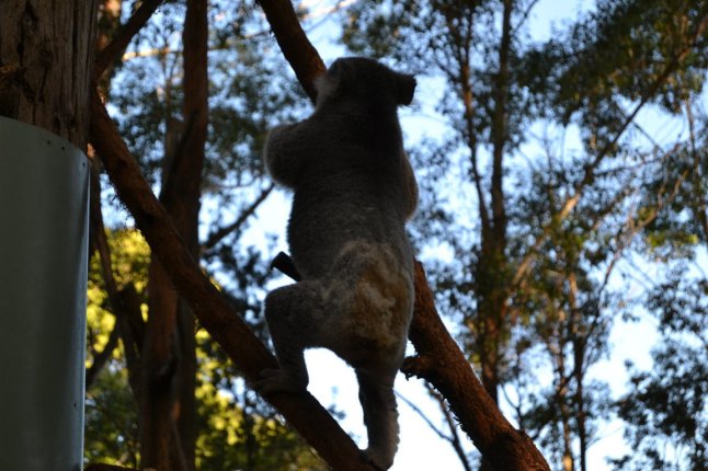 DSC_0031 (FILEminimizer)