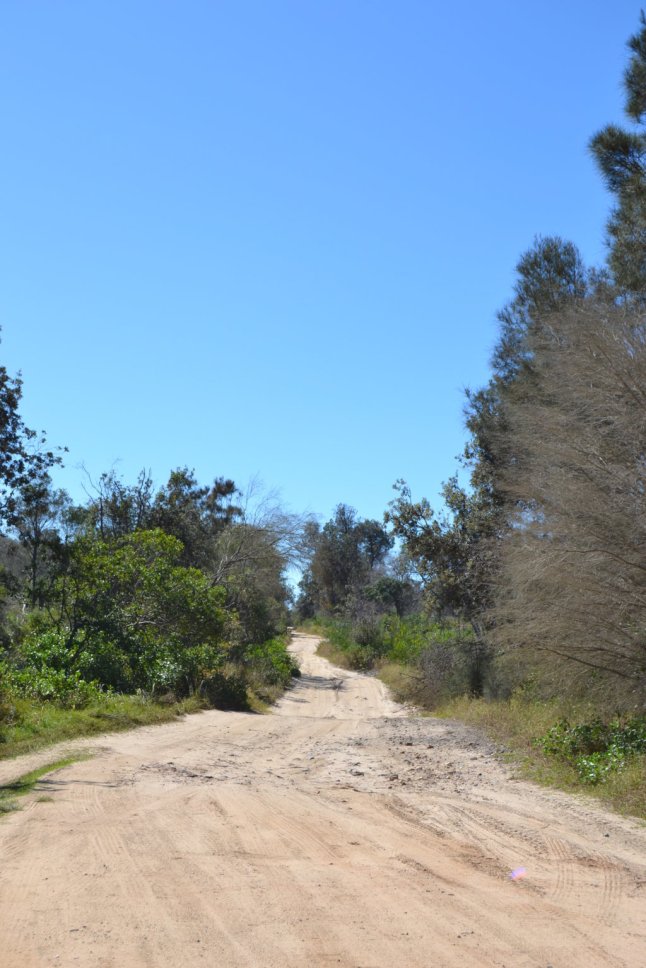 DSC_0036 (FILEminimizer)