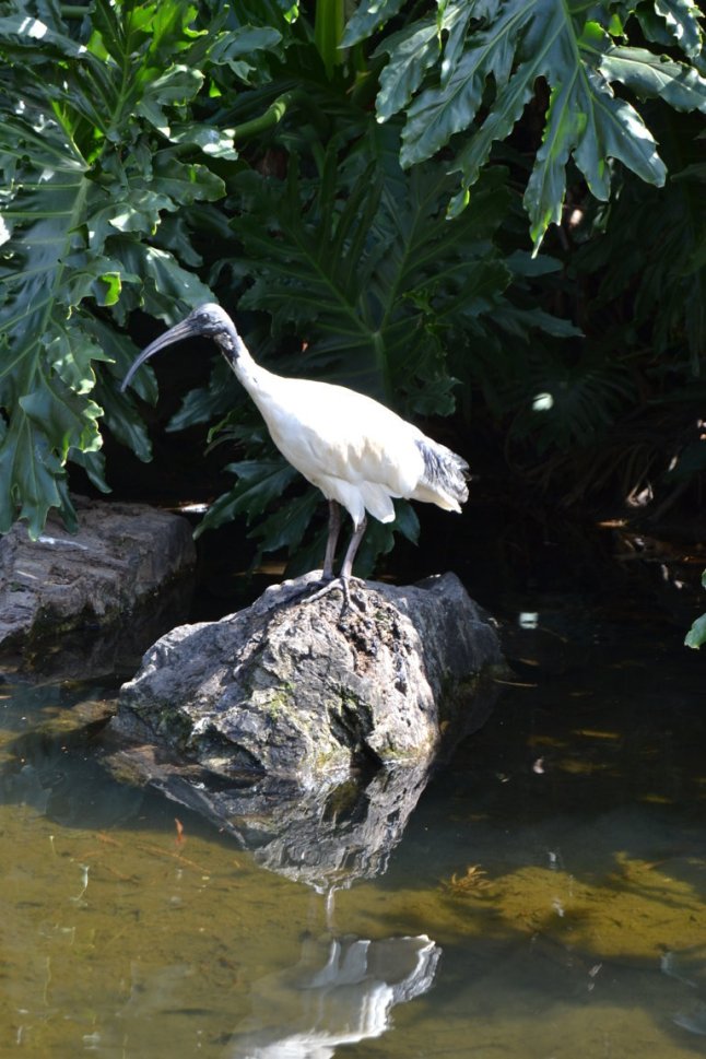 DSC_0047 (FILEminimizer)