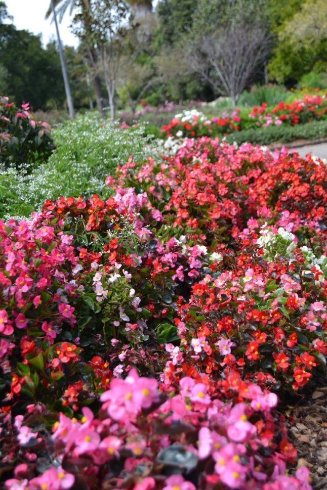 DSC_0055 (FILEminimizer)