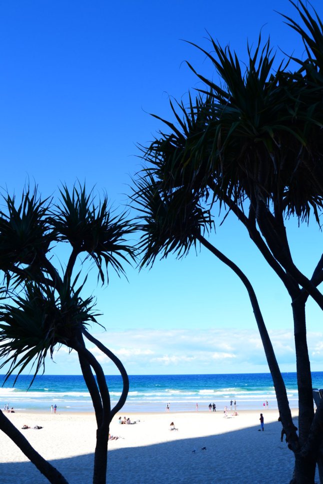 DSC_0140 (FILEminimizer)