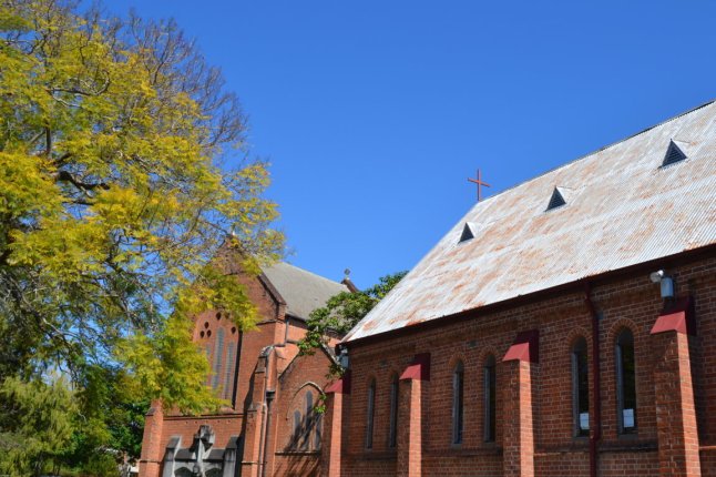 DSC_0174 (FILEminimizer)