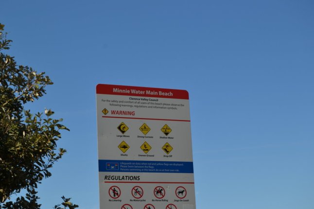 DSC_0214 (FILEminimizer)