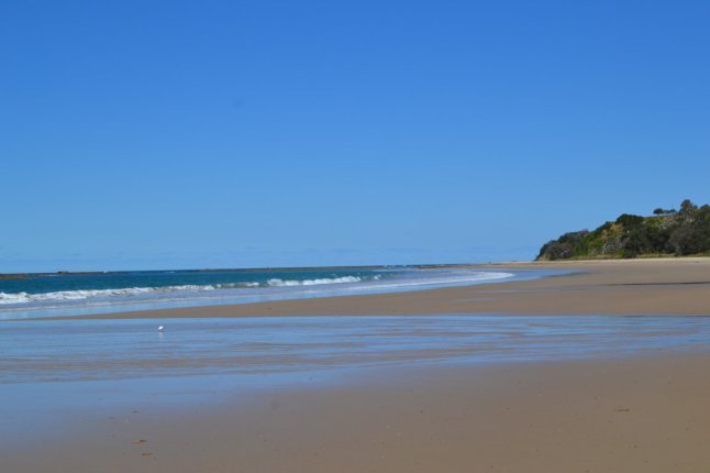 DSC_0219 (FILEminimizer)