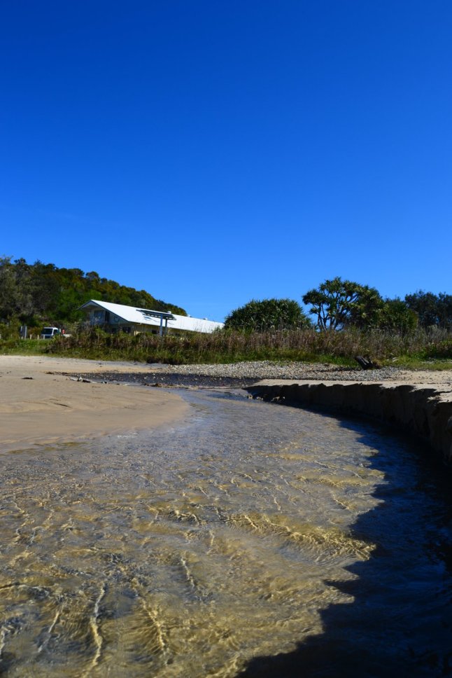 DSC_0247 (FILEminimizer)