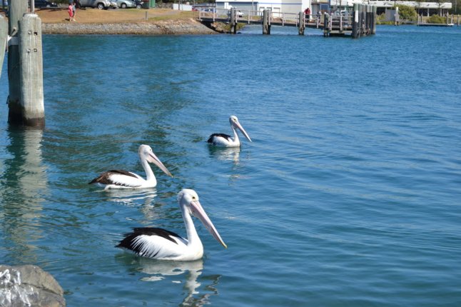 DSC_0282 (FILEminimizer)