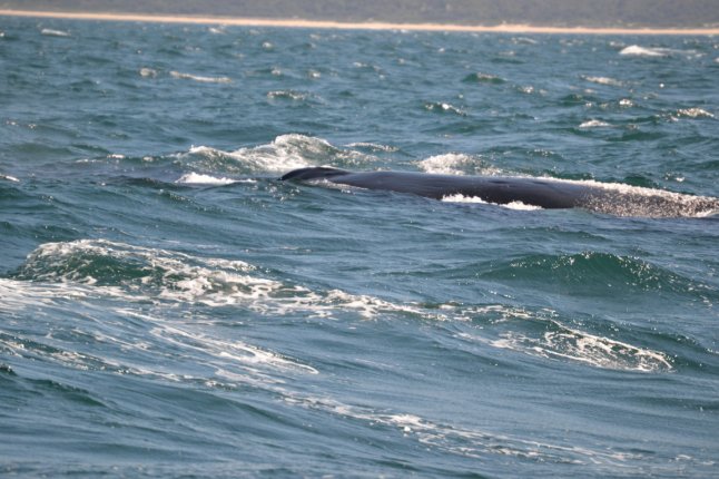 DSC_0309 (FILEminimizer)