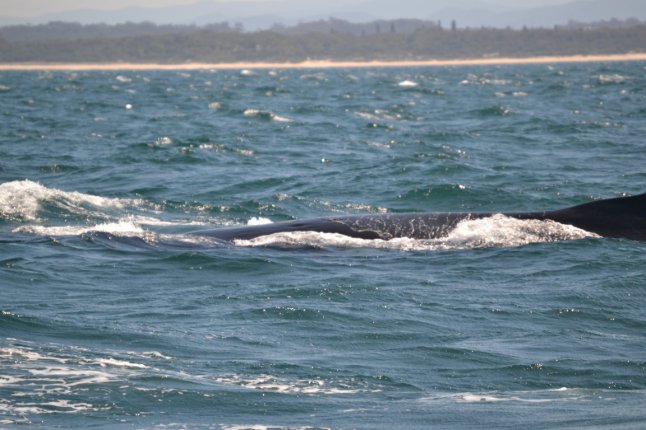 DSC_0311 (FILEminimizer)