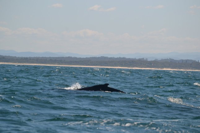 DSC_0317 (FILEminimizer)