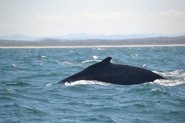 DSC_0344 (FILEminimizer)