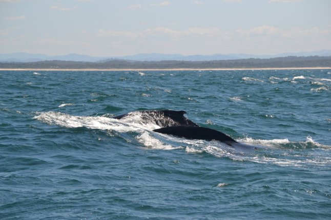 DSC_0346 (FILEminimizer)