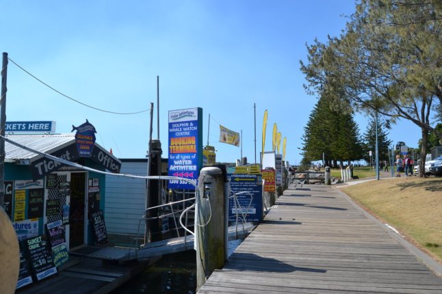 DSC_0362 (FILEminimizer)