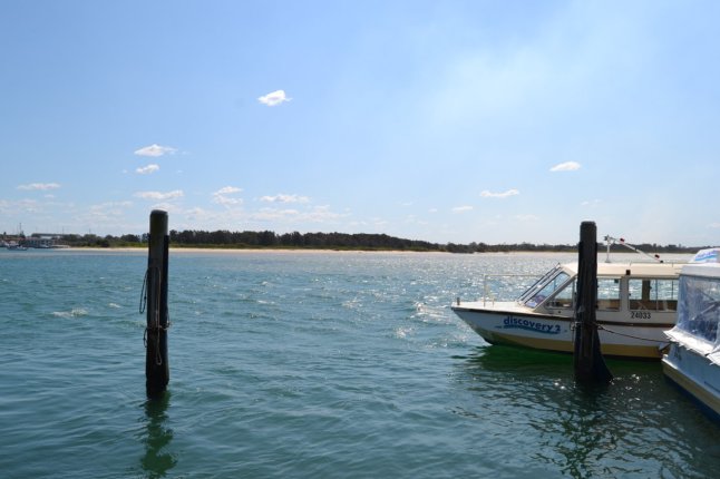 DSC_0363 (FILEminimizer)