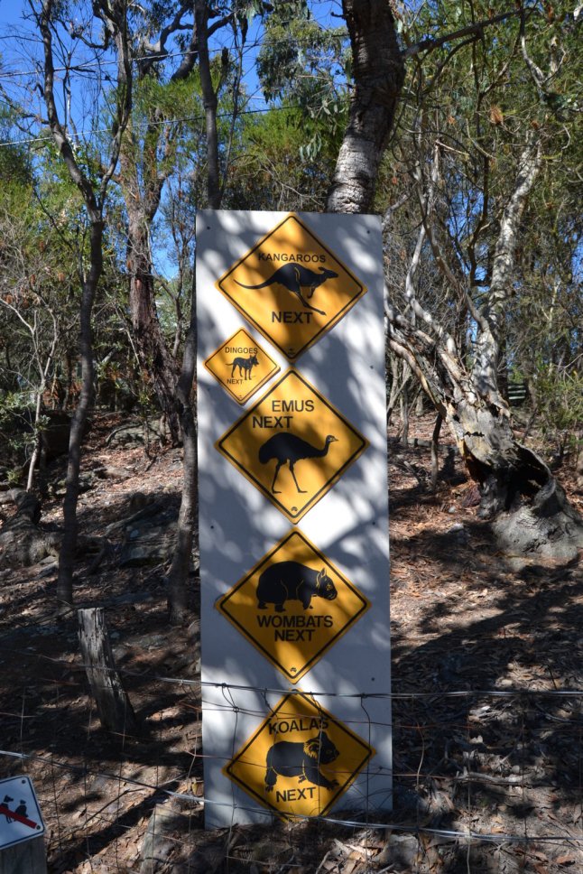 DSC_0364 (FILEminimizer)