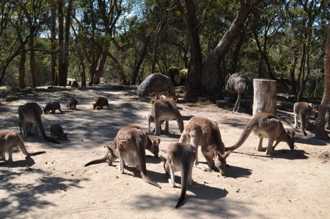 DSC_0365 (FILEminimizer)