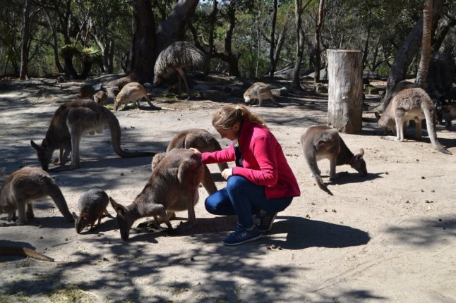 DSC_0370 (FILEminimizer)