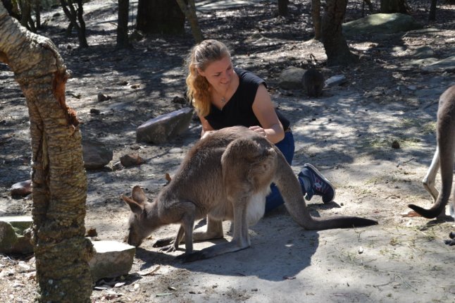 DSC_0376 (FILEminimizer)