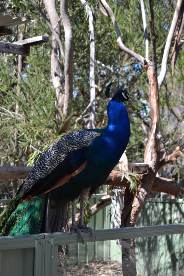 DSC_0383 (FILEminimizer)