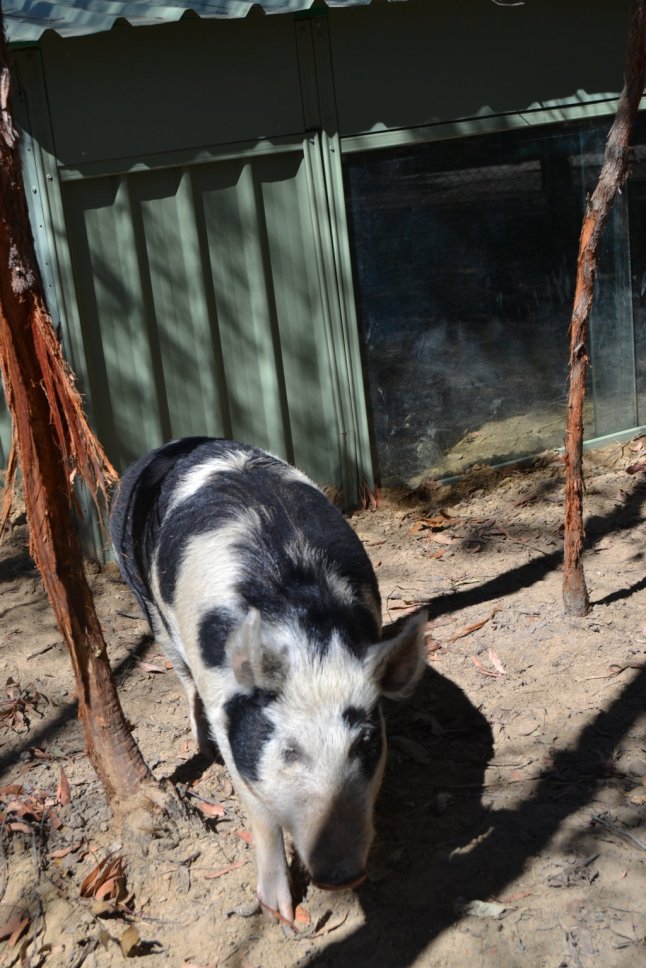 DSC_0384 (FILEminimizer)