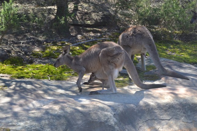 DSC_0389 (FILEminimizer)