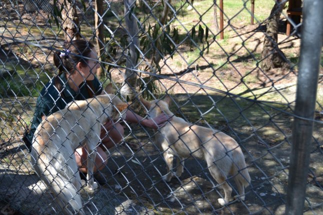 DSC_0394 (FILEminimizer)