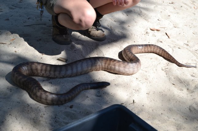 DSC_0403 (FILEminimizer)