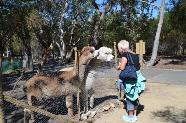 DSC_0412 (FILEminimizer)