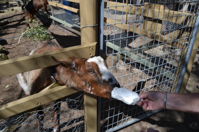 DSC_0415 (FILEminimizer)