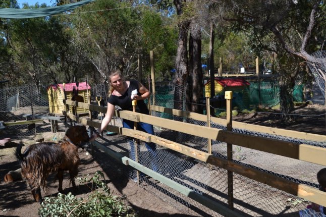 DSC_0417 (FILEminimizer)