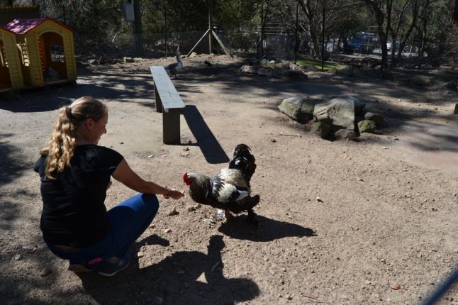 DSC_0419 (FILEminimizer)