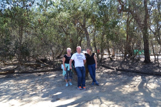 DSC_0425 (FILEminimizer)