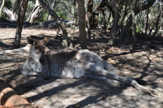 DSC_0428 (FILEminimizer)