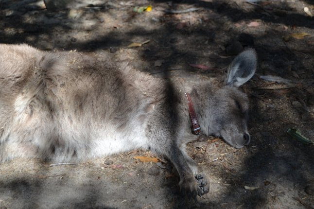 DSC_0430 (FILEminimizer)