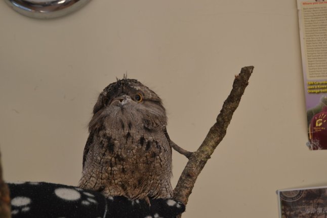 DSC_0435 (FILEminimizer)