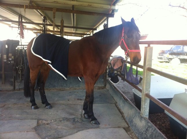 IMG_0662 (FILEminimizer)