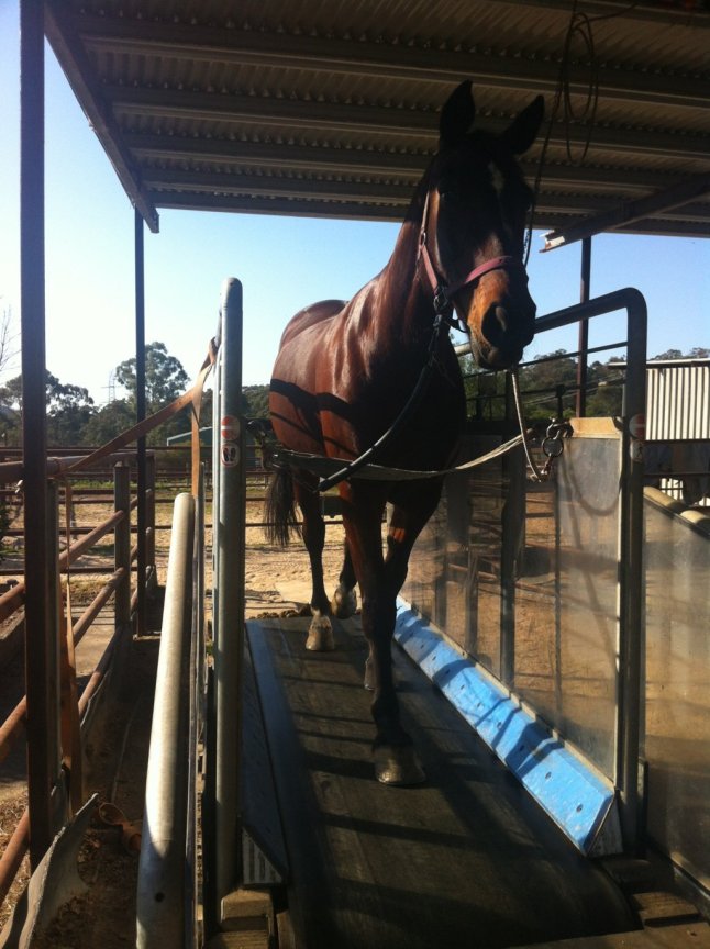 IMG_0664 (FILEminimizer)