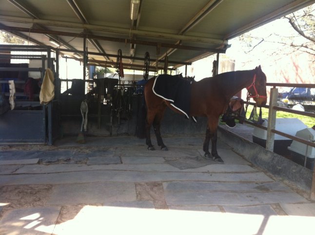 IMG_0665 (FILEminimizer)