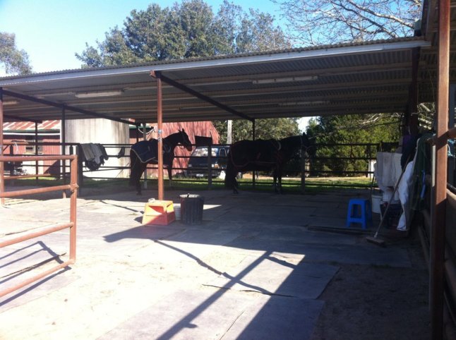 IMG_0673 (FILEminimizer)