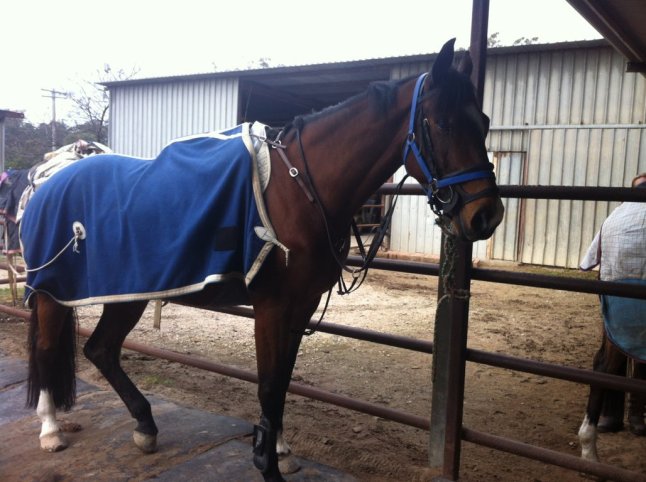 IMG_0743 (FILEminimizer)