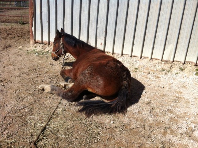 IMG_0756 (FILEminimizer)