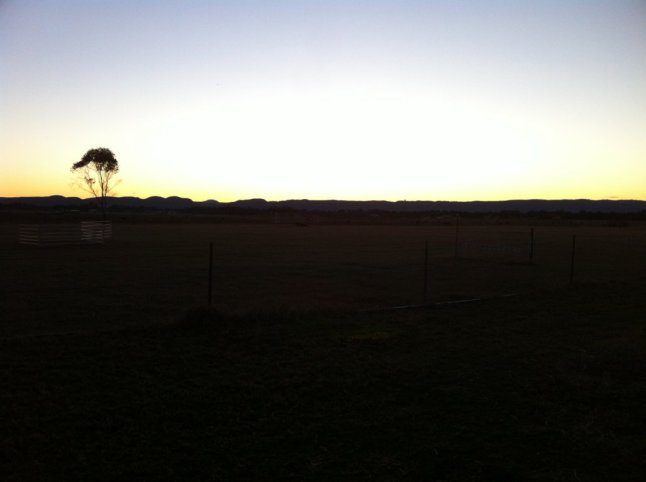 IMG_0777 (FILEminimizer)