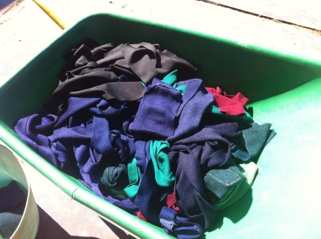 IMG_0788 (FILEminimizer)