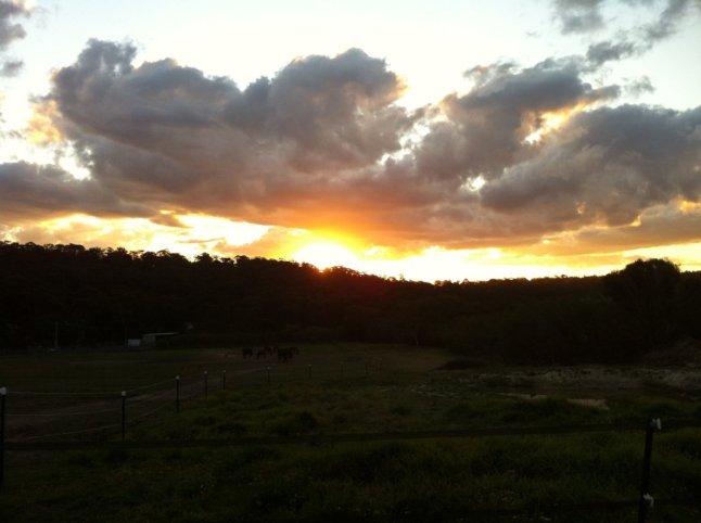 IMG_0797 (FILEminimizer)