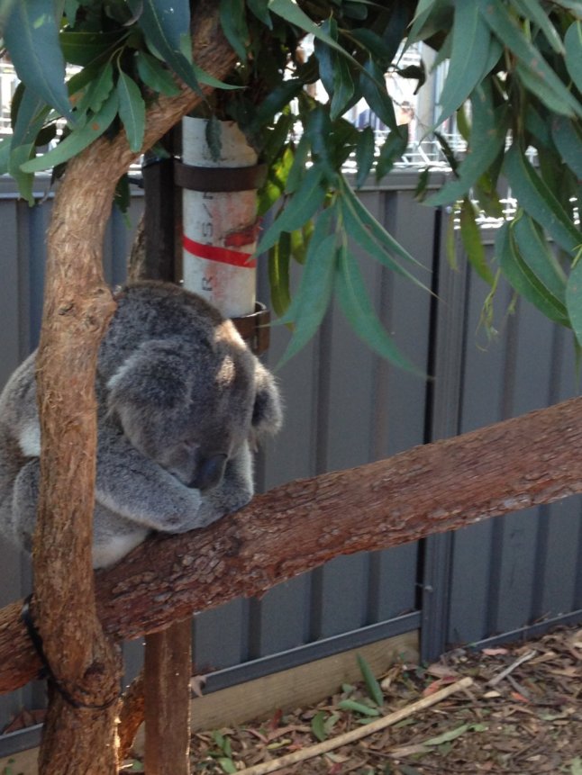 IMG_1016 (FILEminimizer)