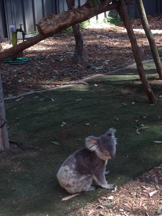 IMG_1031 (FILEminimizer)