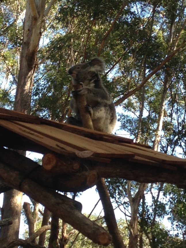 IMG_1034 (FILEminimizer)