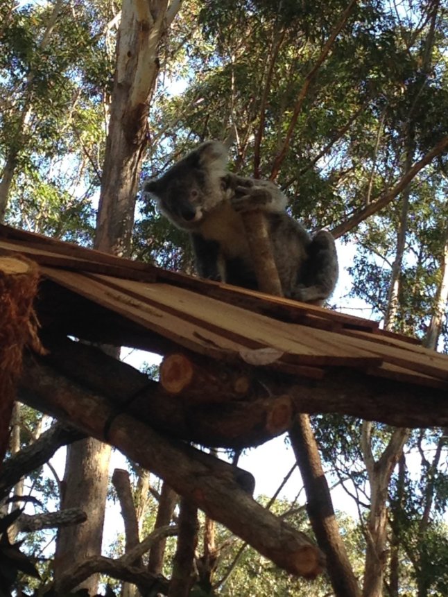 IMG_1036 (FILEminimizer)