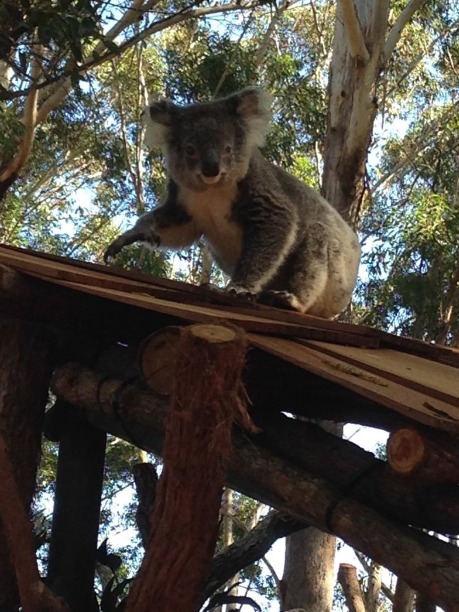 IMG_1047 (FILEminimizer)