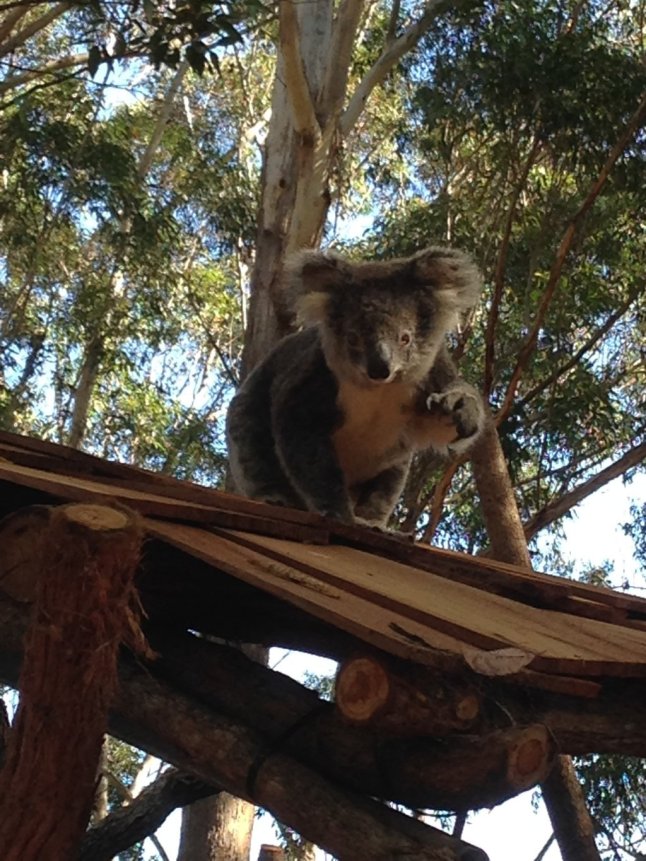 IMG_1057 (FILEminimizer)