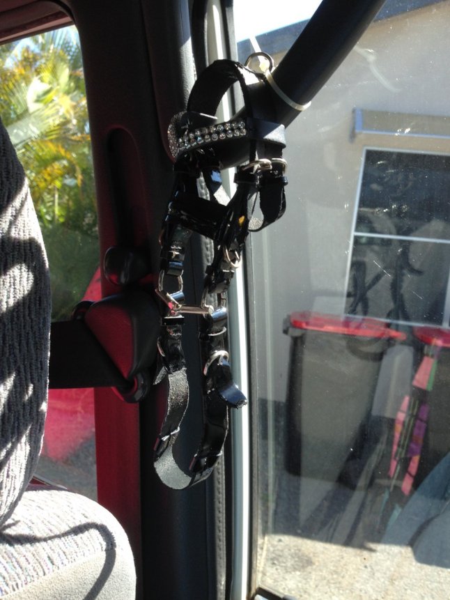 IMG_1085 (FILEminimizer)